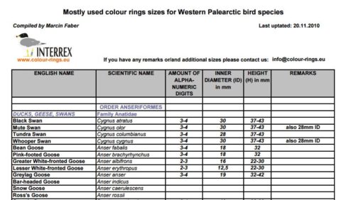 Colour Rings Sizes